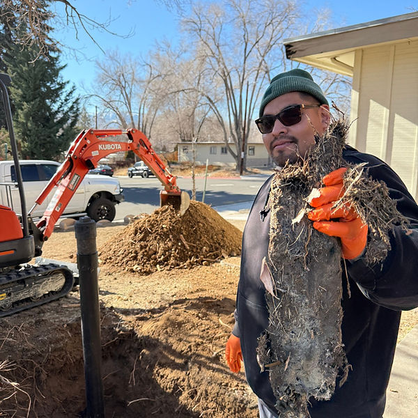 Sewer line inspection and upkeep